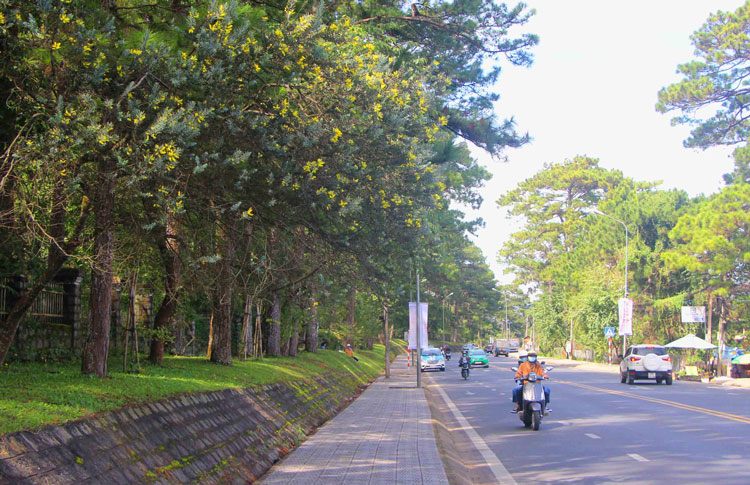 Ảnh: lamdong.gov