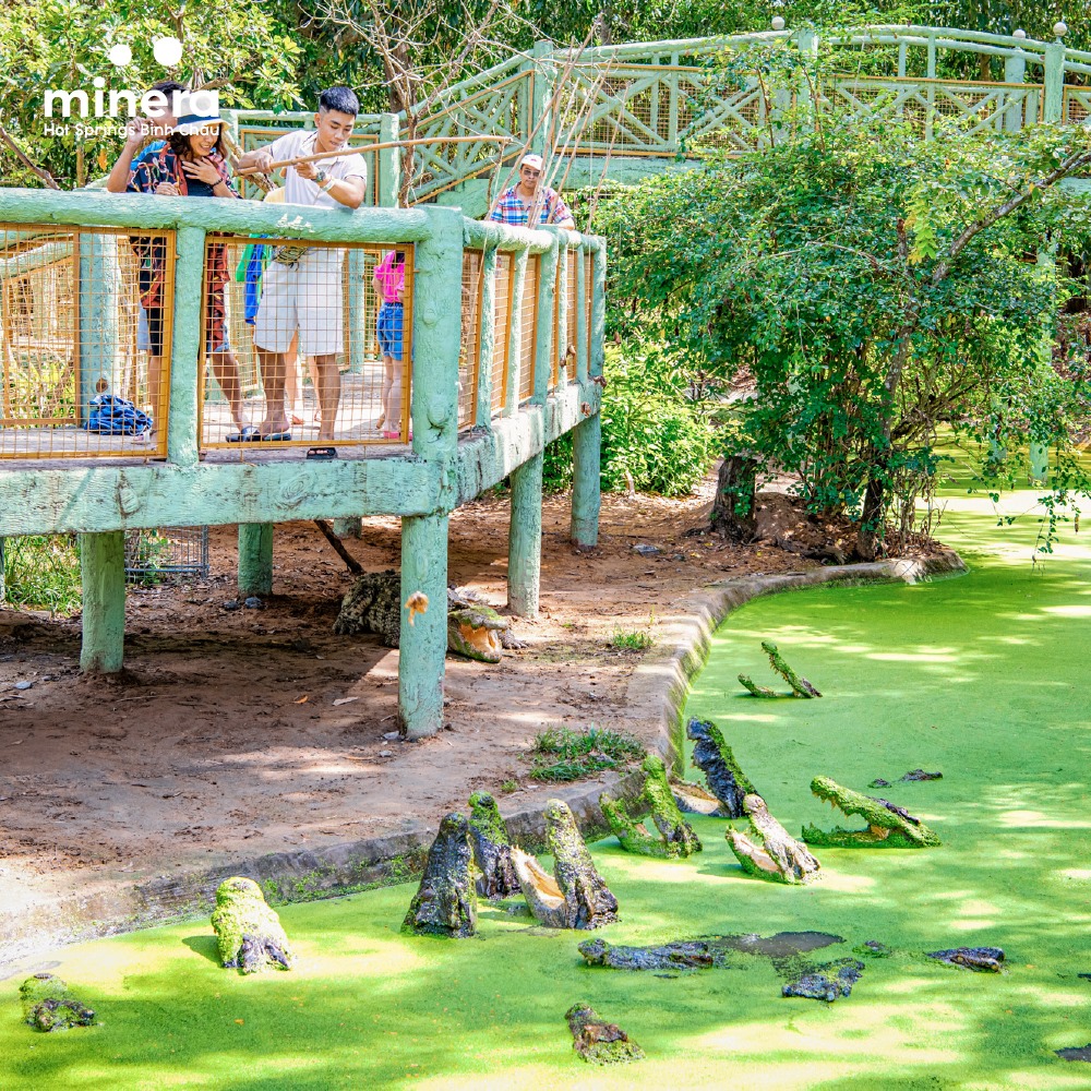 Ảnh: Fb Minera Hot Springs Binh Chau