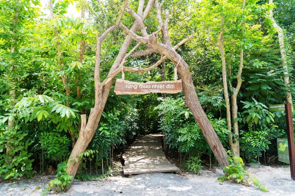 Công viên rừng Minera Forest tại Minera Hot Springs Bình Châu