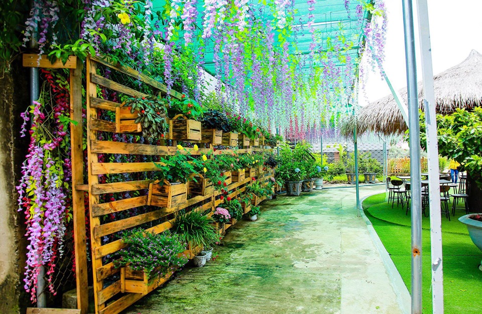 mini-farm-ivivu-5 Mini-Farm-ivivu-5