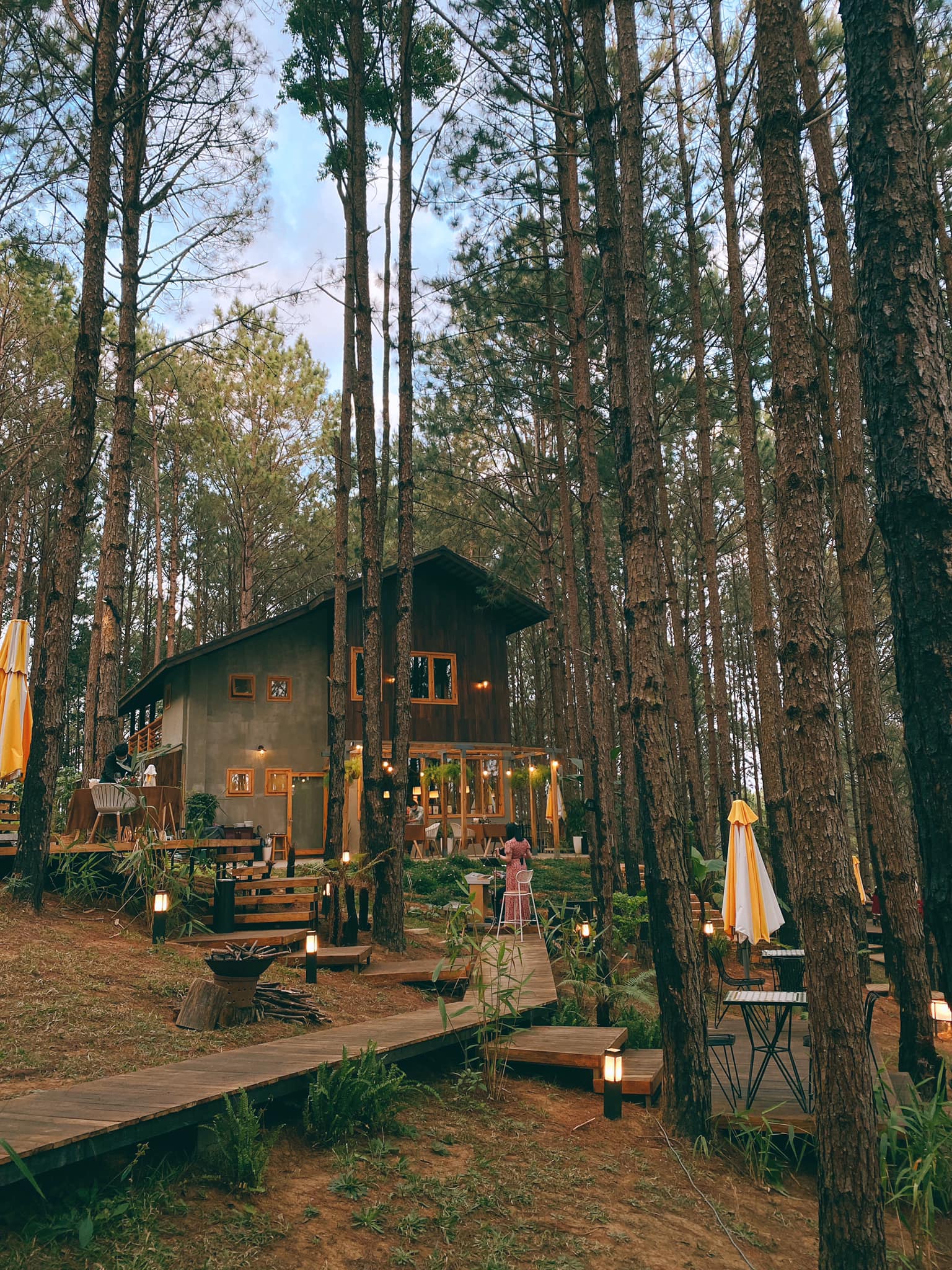 Ảnh: Rừng Thông Mơ Farm & Bistro
