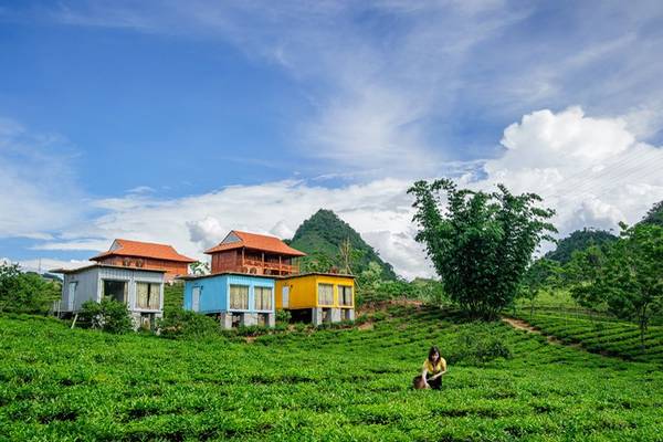 Homestay Mộc Châu Arena Village container