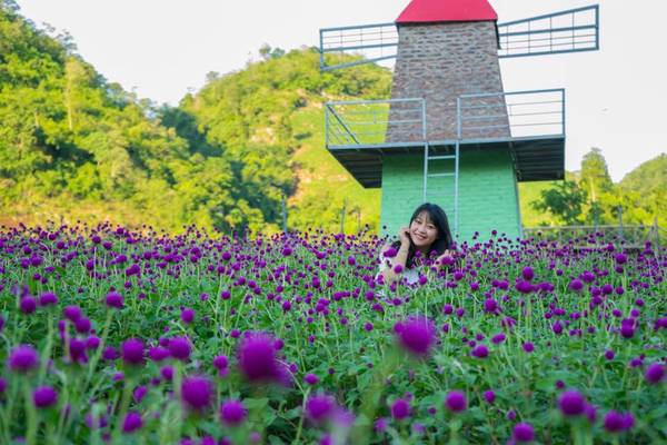 Homestay Mộc Châu Happy Land view thung lũng