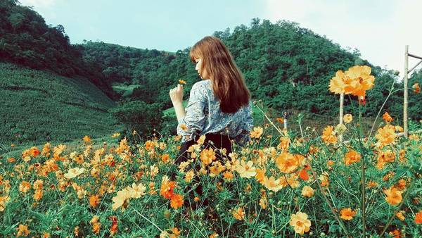 Ảnh: FB Mộc Châu Happy Land