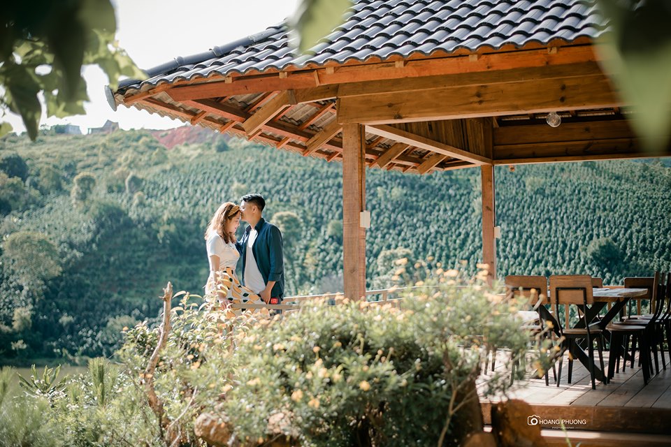 Mộc Trà Farm Đà Lạt view đồi chè xanh