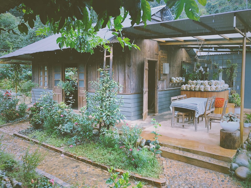 View đồi chè từ Mộc Trà Farm Đà Lạt