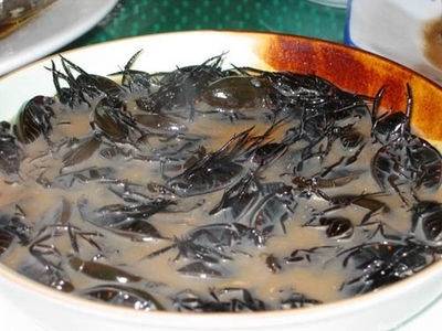 Súp bọ cạp món ăn kinh dị bổ dưỡng