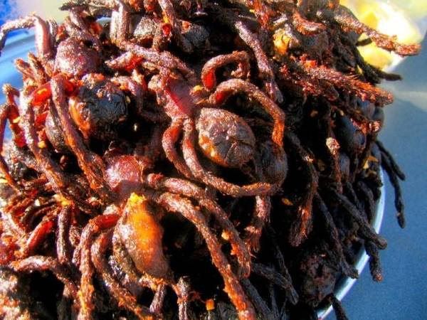 Nhện chiên món ăn kinh dị nổi tiếng Campuchia