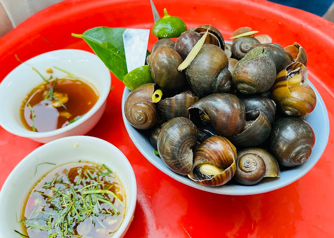 Ốc luộc - món ăn ngon Hà Nội