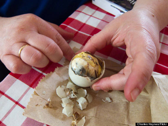 Trứng vịt lộn Balut của Philippines