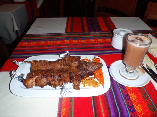 Chuột lang nướng món ăn đặc sản Peru
