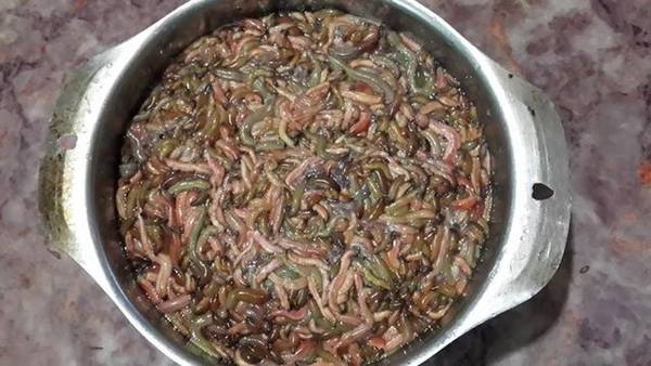 Gần 1 triệu đồng một nồi rươi kho - đặc sản Tết đắt đỏ