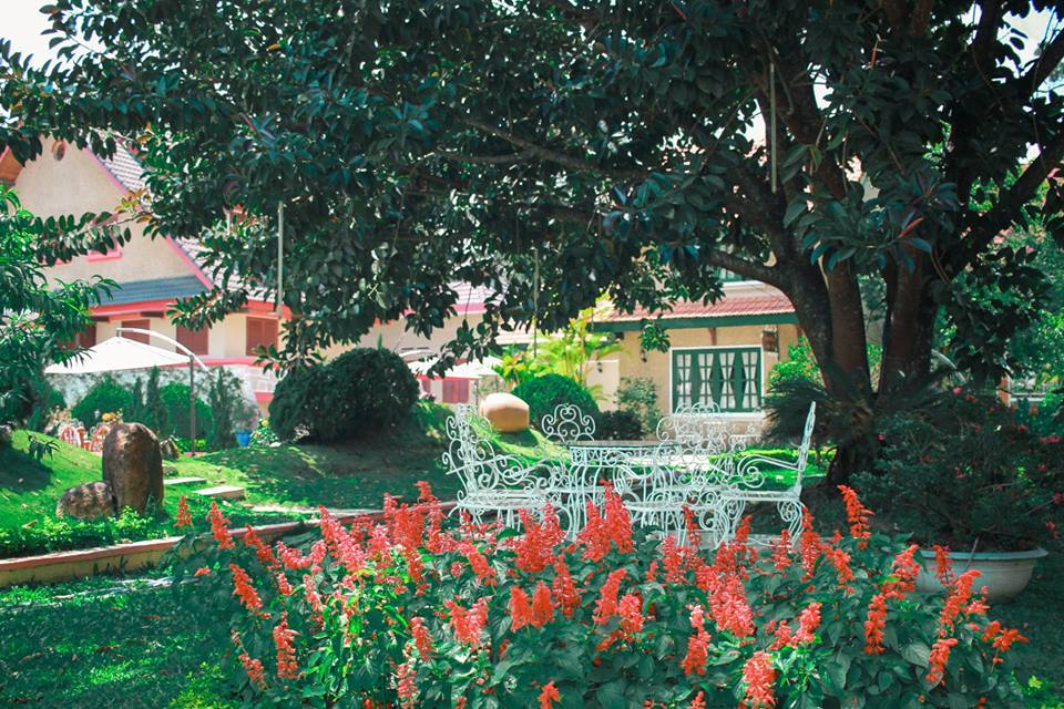 Nội thất sang trọng Tea Resort Đà Lạt