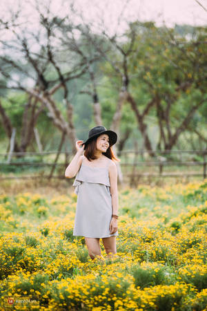 Ngoại cảnh chụp ảnh tại Thảo Nguyên Hoa Hà Nội Ngoại cảnh chụp ảnh tại Thảo Nguyên Hoa Hà Nội