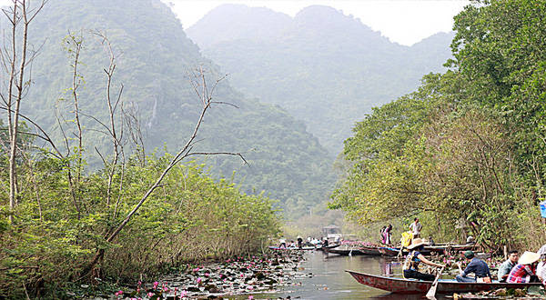 Khung cảnh yên bình hoa súng suối Yến chùa Hương