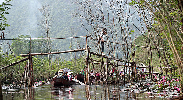 Khung cảnh lãng mạn hoa súng suối Yến chùa Hương