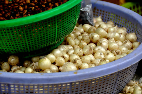 Củ nén hay củ ném theo cách gọi của người Huế thuộc họ hành, tỏi là loại củ được nhiều người chọn mua bởi vị hương thơm hơn tỏi. Đây là loại nguyên liệu chế biến thức ăn không thể thiếu đối với ẩm thực miền Trung.
