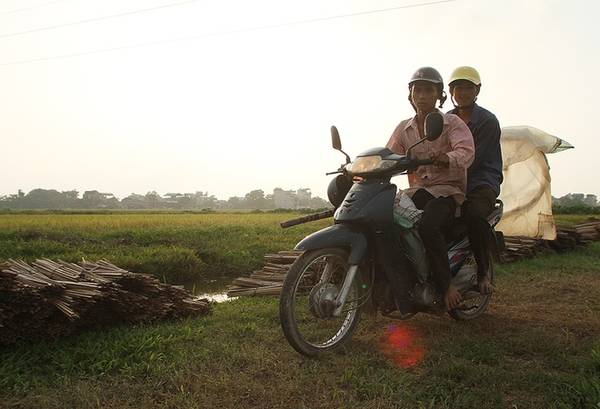 Mùa bắt châu chấu ngoại thành Hà Nội: Loài côn trùng gây hại cho lúa này đang trở thành món ăn đặc sản với vị thơm ngon, giòn và bổ dưỡng. Nhiều người vẫn gọi vui là món “tôm bay”. Châu chấu phát triển mạnh vào thời điểm khi cánh đồng lúa bắt đầu trổ đòng.