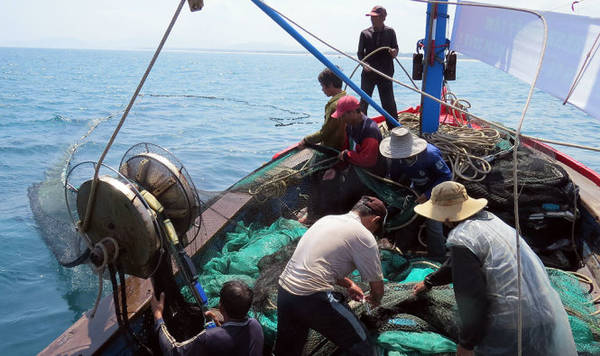 Ngư dân kéo lưới trên biển Sa Huỳnh