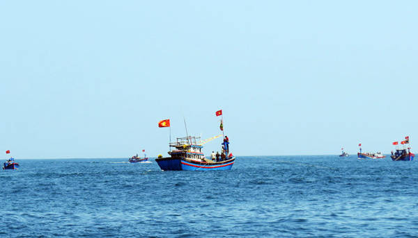Các tàu cá ngư dân đánh bắt mùa cá cơm mồm