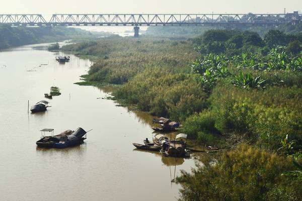 Cuộc sống bình dị của người dân xóm chài ven sông Hồng mùa hoa lau