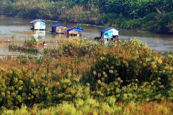 Lối đi xuống bãi cỏ lau từ bậc thang cầu Long Biên lịch sử