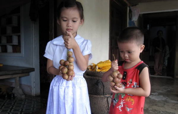 Chùm dâu da là món quà yêu thích của trẻ thơ - Ảnh: MINH KỲ
