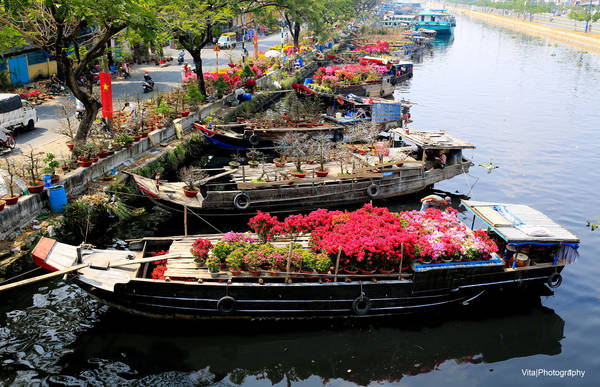 Thuyền chở hoa kiểng cập bến Bình Đông Sài Gòn
