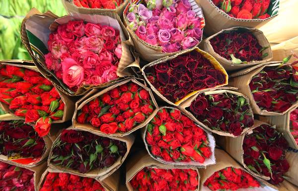 Hoa kiểng và đồ trang trí Tết tại Sài Gòn