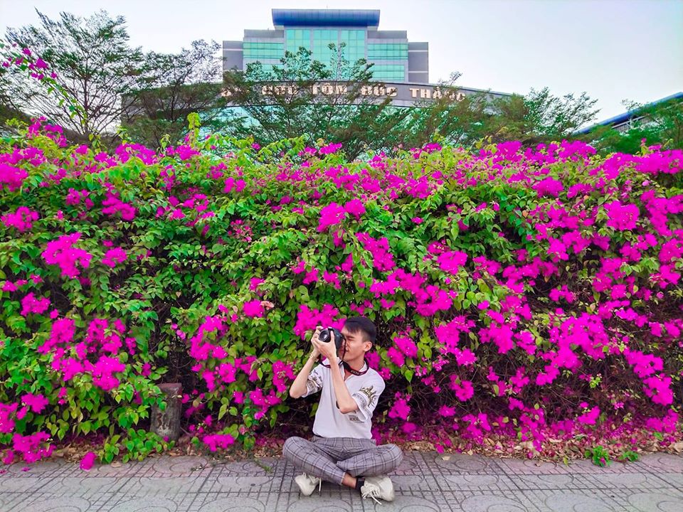 Mùa hoa giấy Sài Gòn