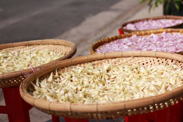 Phơi củ kiệu cạnh củ hành. Hình ảnh làm nôn nao bất cứ người ai những ngày này - Ảnh: Trân Duy