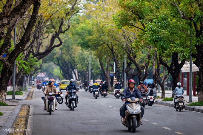 Kinh nghiệm du lịch Huế ngắm hàng cây lá vàng trên đường Lê Lợi