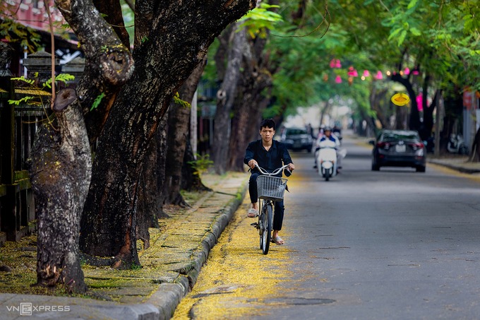 Lá vàng rơi rụng trên vỉa hè đường Phan Bội Châu khi đi du lịch Huế