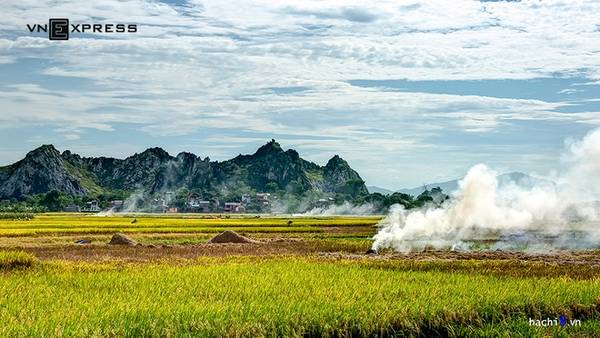 Đường đi ngắm mùa lúa chín vàng ở núi Trầm rất thuận tiện