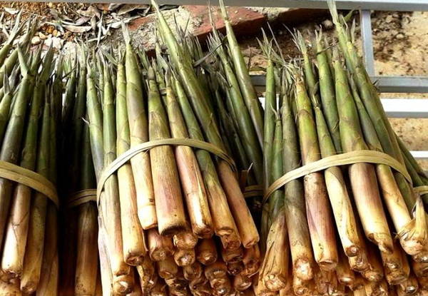 Măng sặt Tây Bắc được bó thành từng bó nhỏ