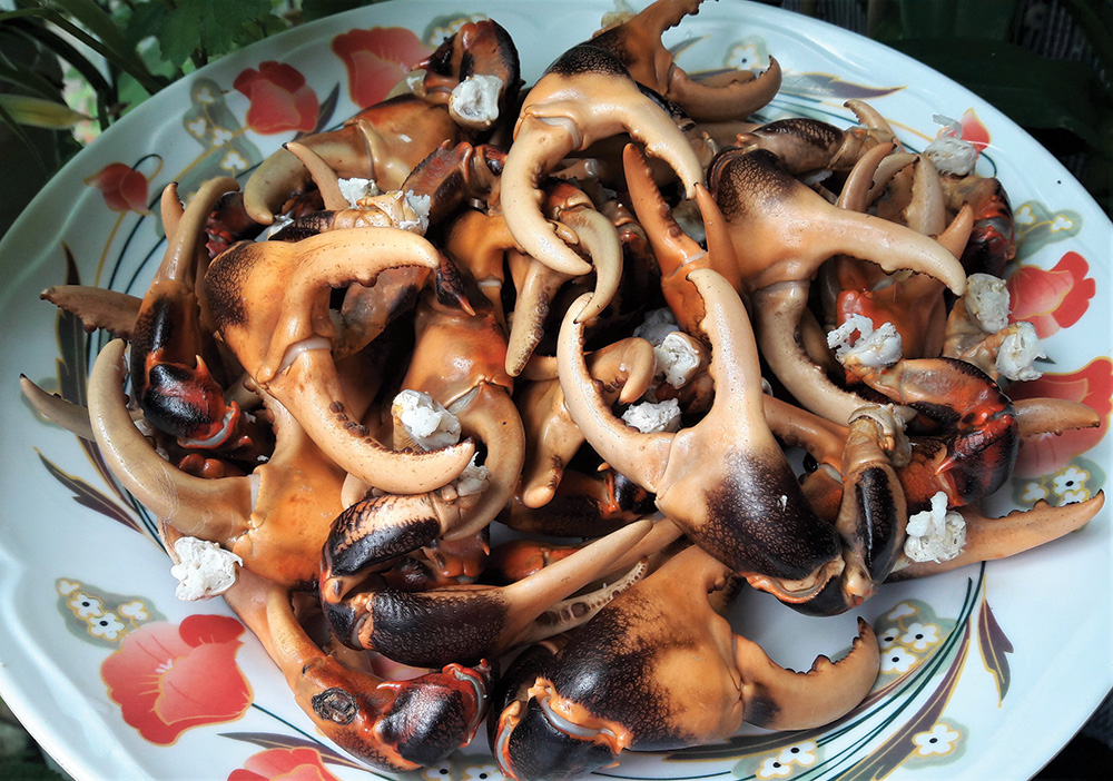 mua-nuoc-noi-mien-tay-ivivu-7