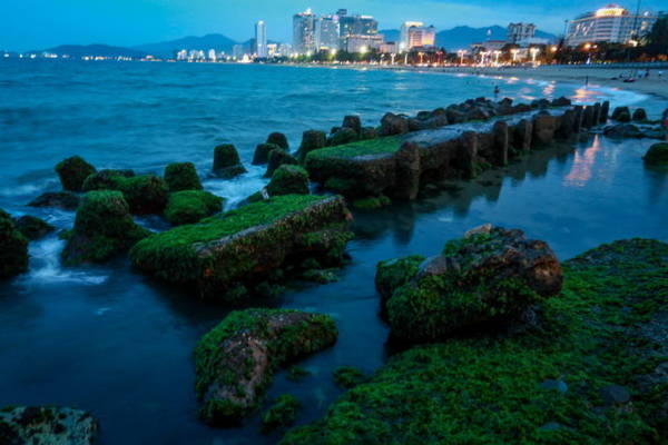 Một cây cầu rêu lung linh khi du lịch Nha Trang ngắm cảnh về đêm