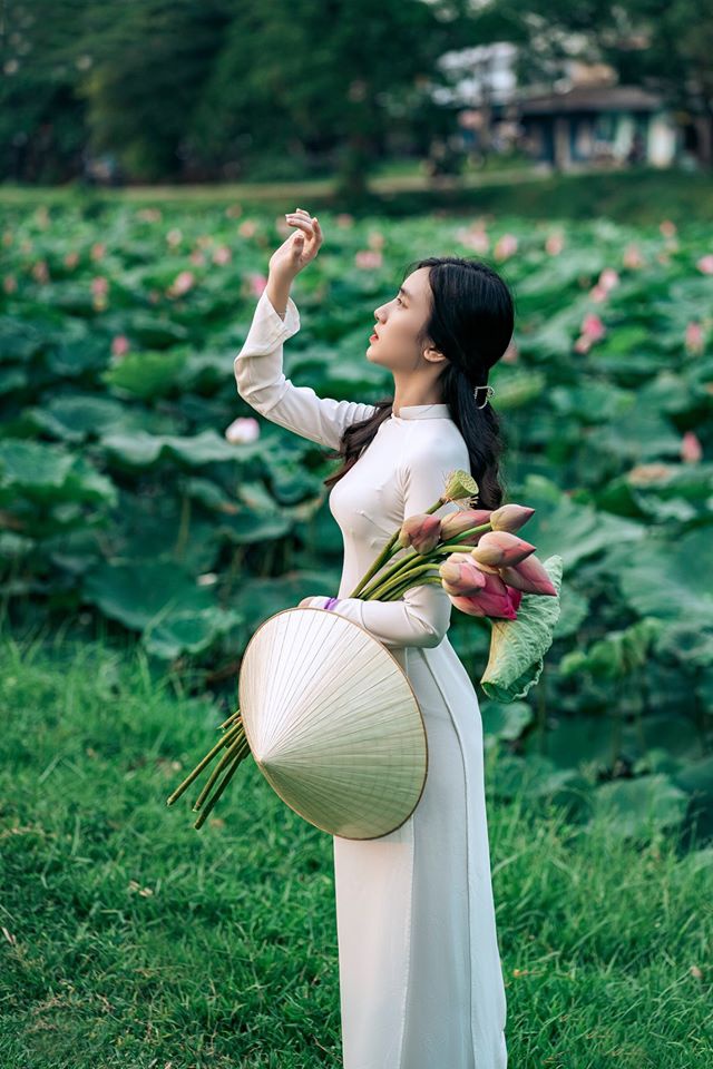 Trong buổi sớm mai, những búp sen e ấp, thanh tao gợi liên tưởng đến hình ảnh người con gái Huế dịu dàng. Tại khu vực hồ Tịnh Tâm, TP Huế, người đi đường không khỏi xuyến xao khi bắt gặp những bông sen trắng, hồng vươn cao trong bùn lầy, đón lấy nắng mai và khí trời cố đô. Ảnh: Trường Bùi.