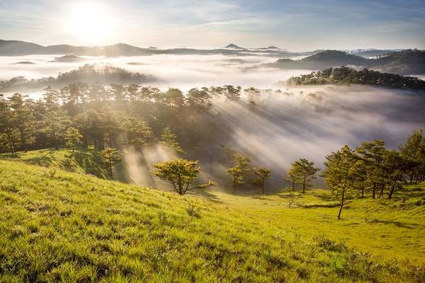 Người dân Đà Lạt dậy rất sớm. Lúc 4h, bạn có thể bắt gặp được những người đã xuống đường tập thể dục, chở hàng hóa, chở hoa để chuẩn bị cho công việc ngày mới.