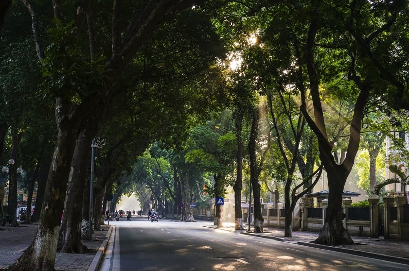 Đường Phan Đình Phùng lãng mạn trong mùa Thu