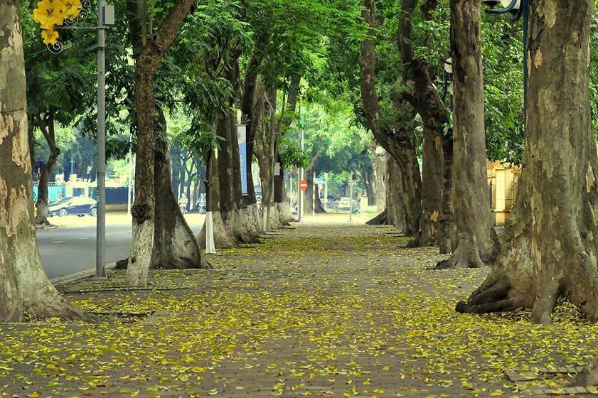 mua-thu-ha-noi-ivivu-15-1