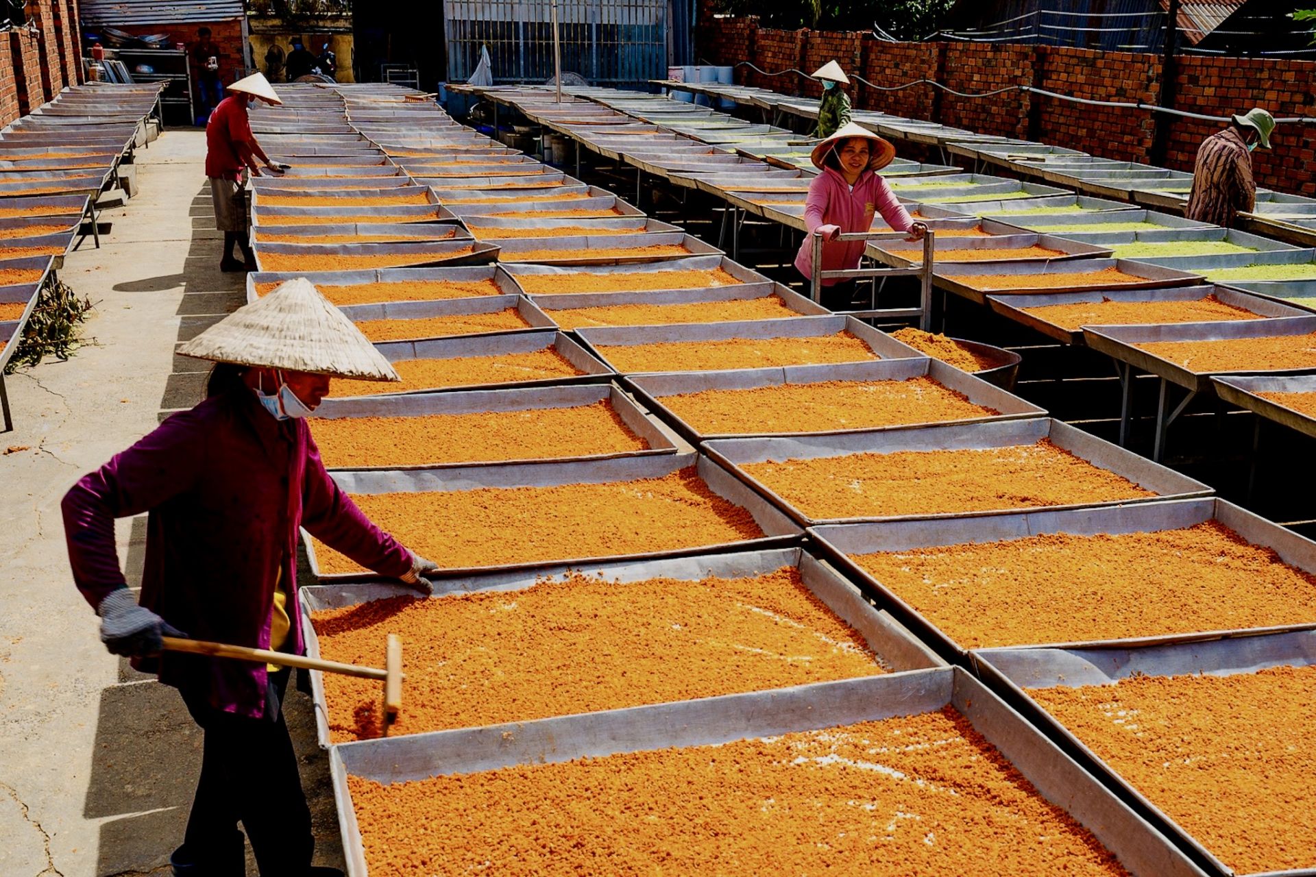 Quá trình chế biến muối tôm Tây Ninh