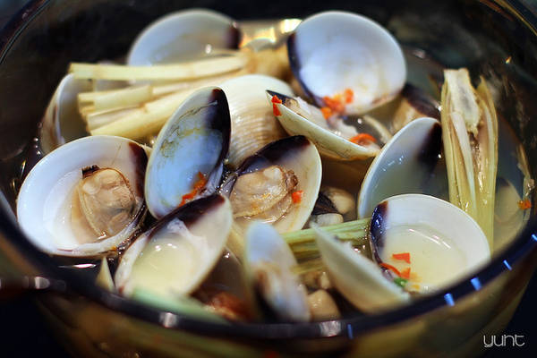 Nghêu