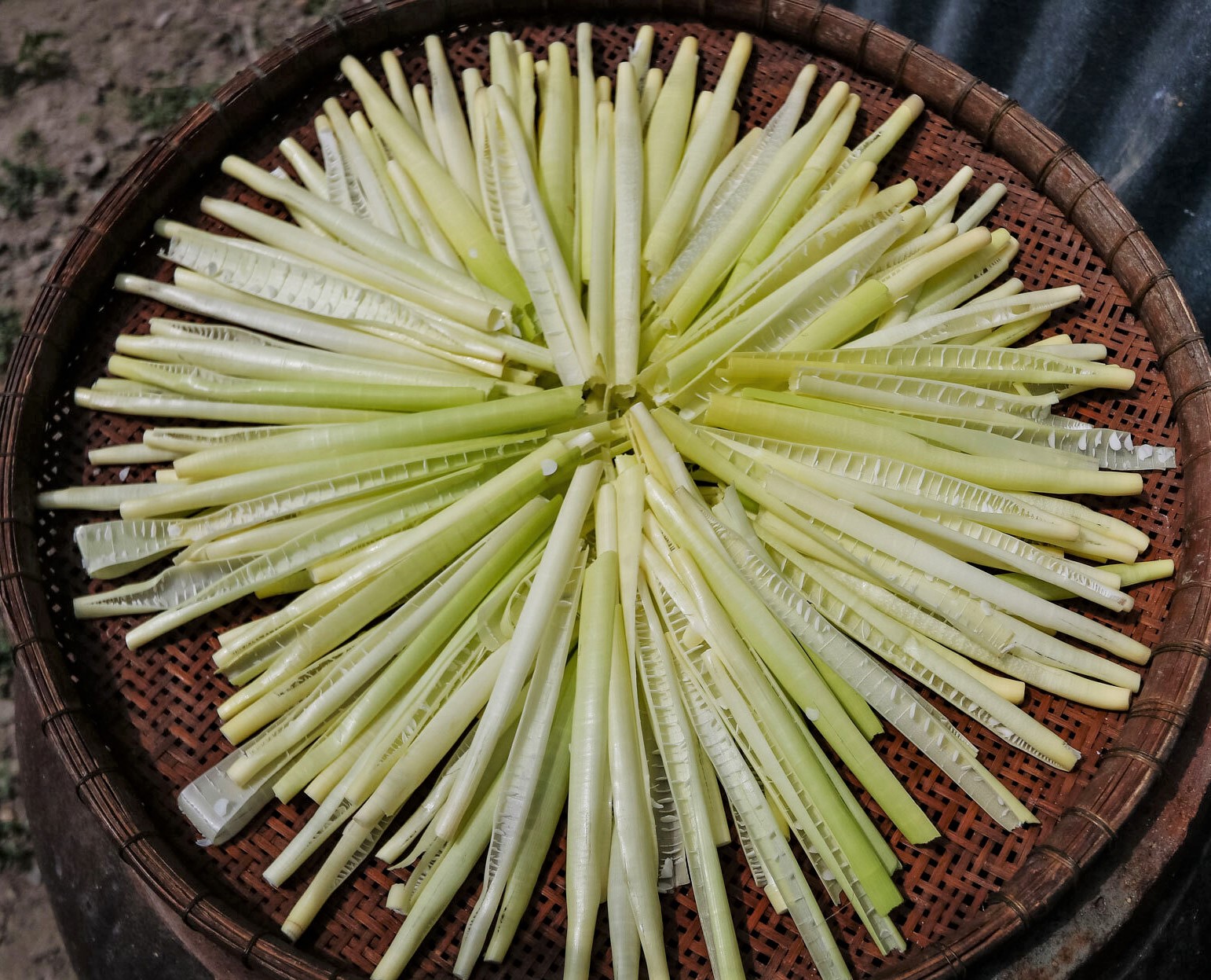 Năn bộp đặc sản Bạc Liêu