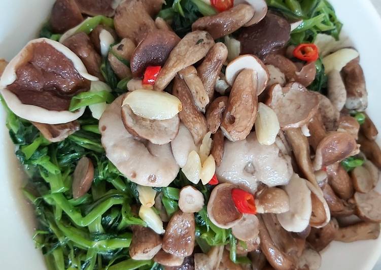 Nấm-tràm -Phú -Quốc -ivivu