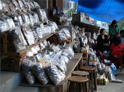 Thuốc nam quý được bày bán tại chợ Sapa