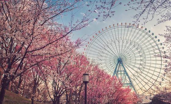 So kè vẻ đẹp của vòng đu quay Sun Wheel – Đà Nẵng cao top 10 thế giới