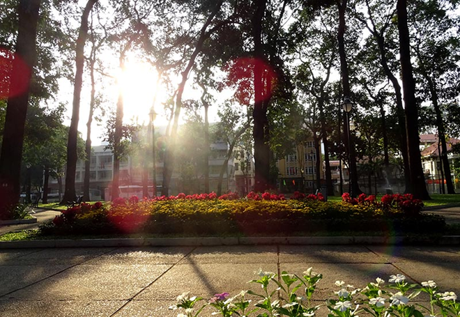 Buổi sáng Sài Gòn mang đến không khí trong lành, mùi lá cây tươi mới và hạt sương thanh khiết