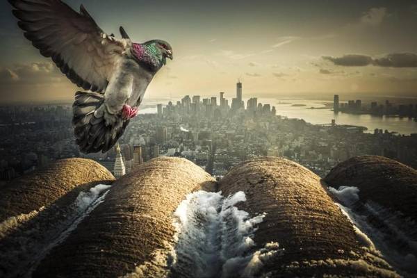 New York Mỹ trung tâm kinh tế văn hóa toàn cầu