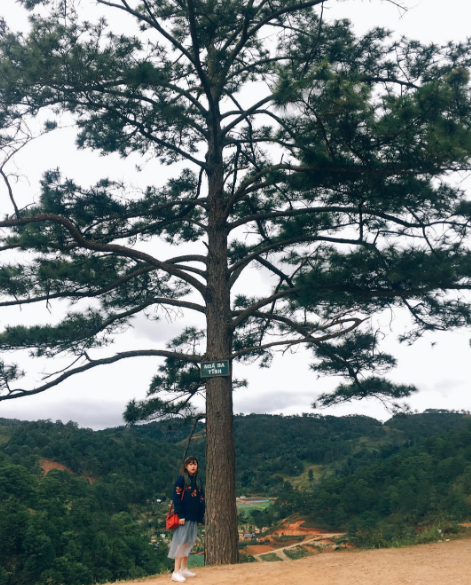 Ngã Ba Tình Đà Lạt